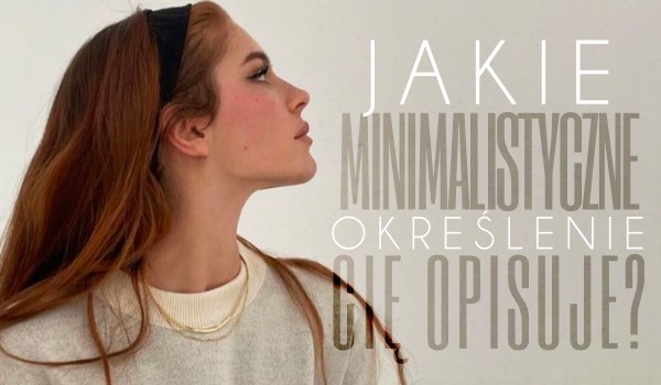 Jakie minimalistyczne określenie Cię opisuje?