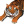 AnimalProtection_