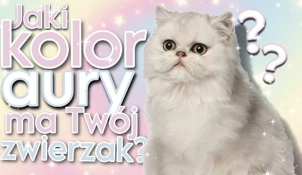 Jaki kolor aury ma Twój zwierzak?