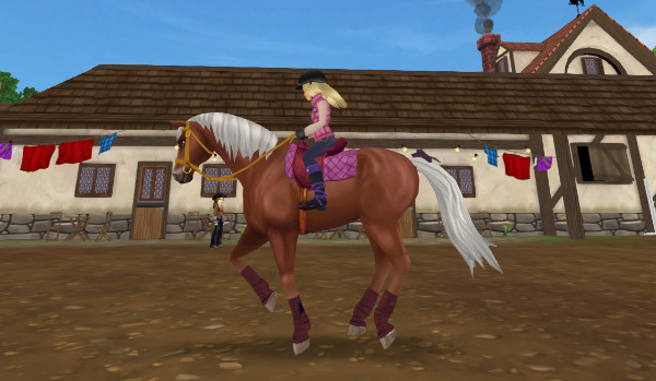 Zostajesz-odpadasz sso (dla osób bez star ridera)