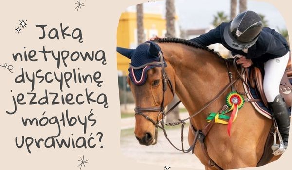 Jaką z nietypowych jeździeckich dyscyplin mógłbyś uprawiać?
