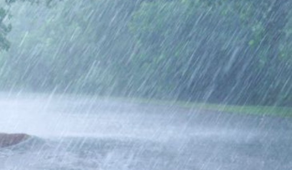 jaką żabą jesteś?