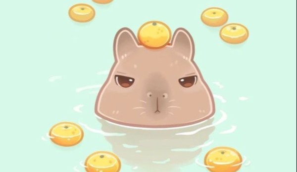 Jaką kapibarą jesteś