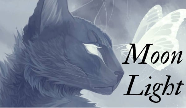 Moon Light |•Prologue•|