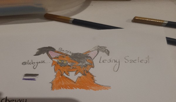 Rysunek dla @Wojak._.