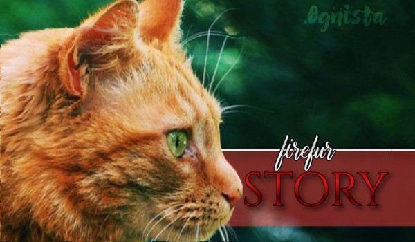 „Historia Ognistego Futra” [Warriors cats fanfiction — superedycja] |CHARACTER DESCRIPTION|