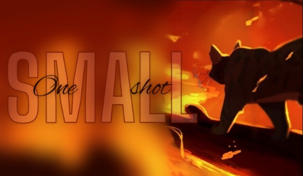 Small *★*★*★* One-shot