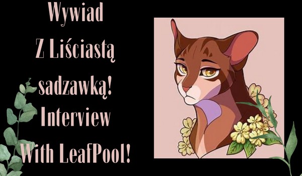 Wywiad z Liściastą Sadzawką | Interview with LeafPool