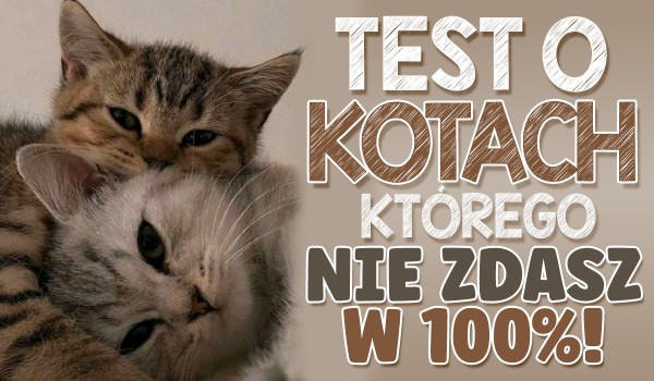 Test o kotach, którego nie zdasz w 100%!