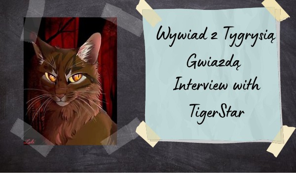 Wywiad z Tygrysią Gwiazdą | Interview with TigerStar