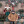 Fortnite_kid