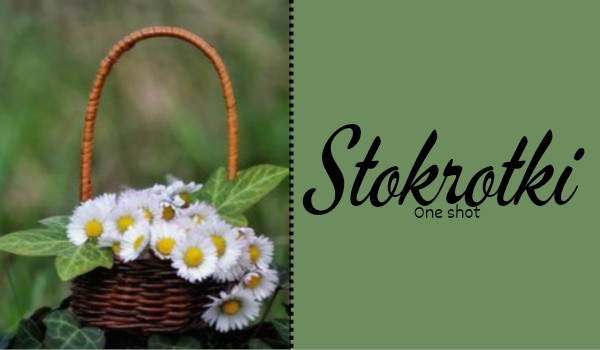 Stokrotki • One shot