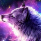 MagicWolf.art