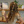 privvvania_