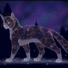 NakrapianyLiscAkaWojoYTxd