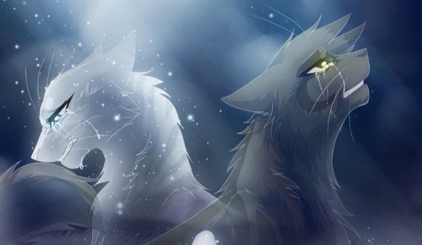 „Wojownicy Ogień i Lód“ Test