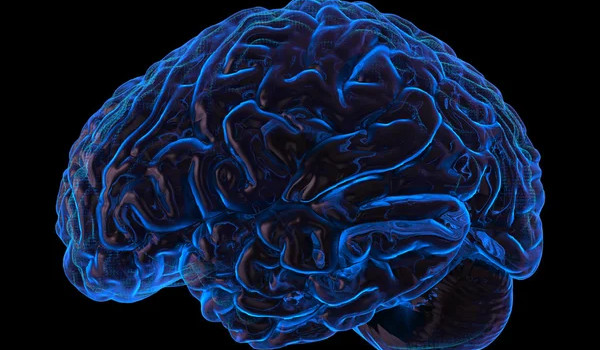 ile masz iq (test iq)