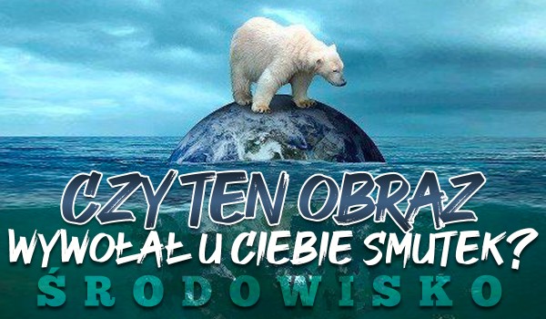 Czy ten obraz wywołał u Ciebie smutek? – Środowisko