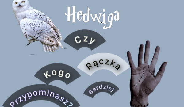 Jesteś jak Hedwiga czy Rączka ?