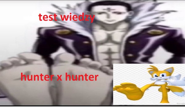 test wiedzy: hunter x hunter (cursed)