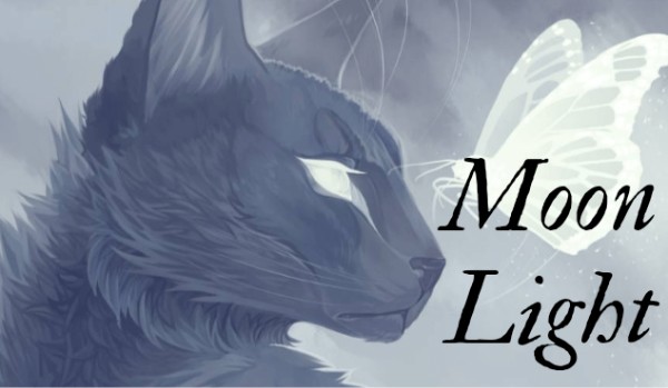 Moon Light |•Chapter One•|