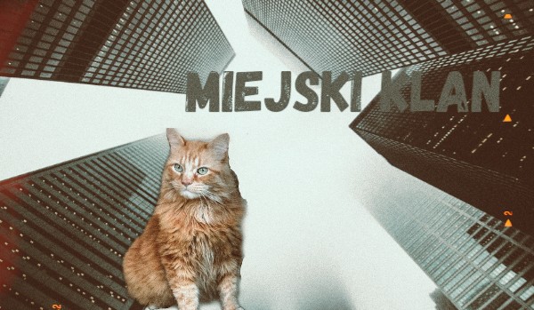 opo z obs Miejski Klan -prolog-