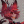 Alastor1234567890