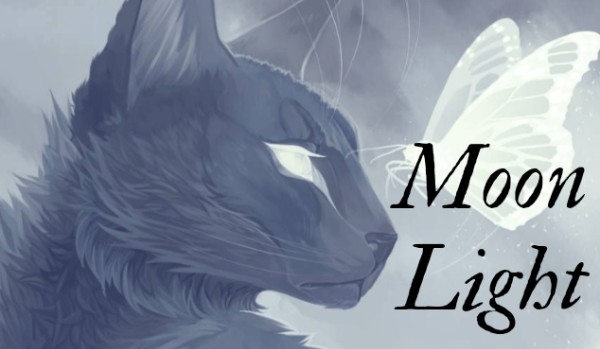 Moon Light |•Chapter Two•|