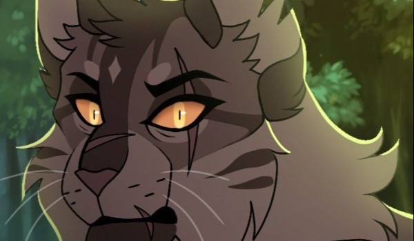 Jak dobrze znasz Tygrysią Gwiazdę?