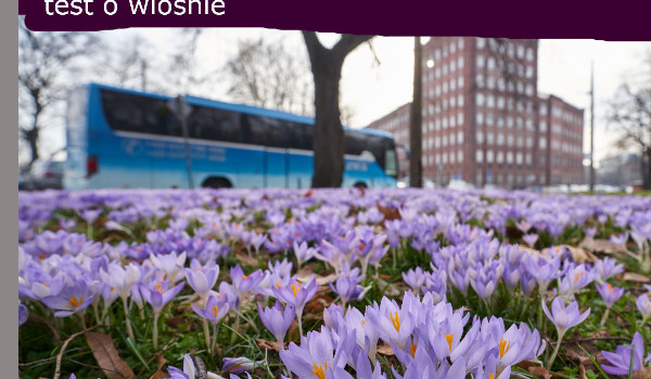 Test o wiośnie