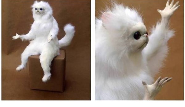 stwórz własnego mema