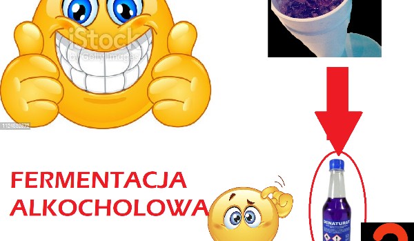fermentacja alkocholowa