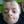 najwiekszy.fan.rzeta