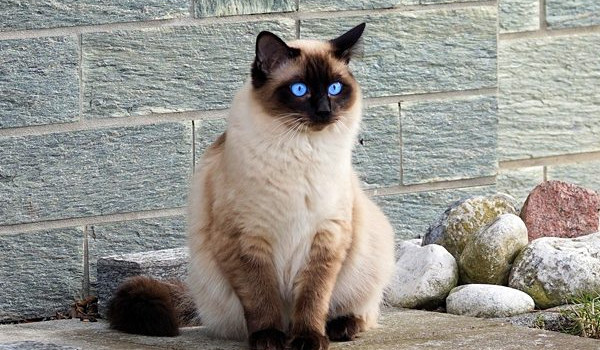 Ocena profilu @PolakTypowy2222