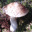 twoja_stara1234