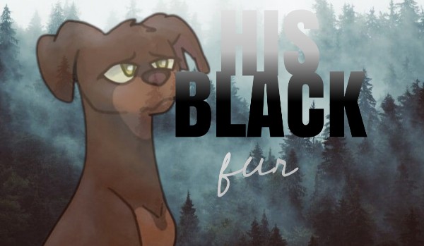 His black fur •Chapter one•