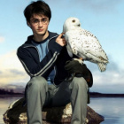 Harry_Potter1111