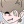 Shibamer