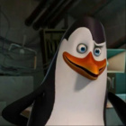 Pingwiniara_Kowalski