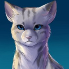 kitaxxx378