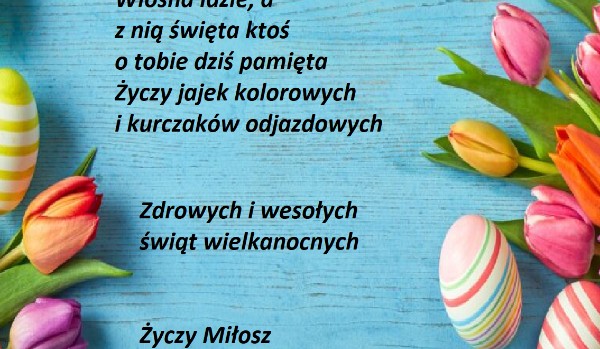 Wszystko