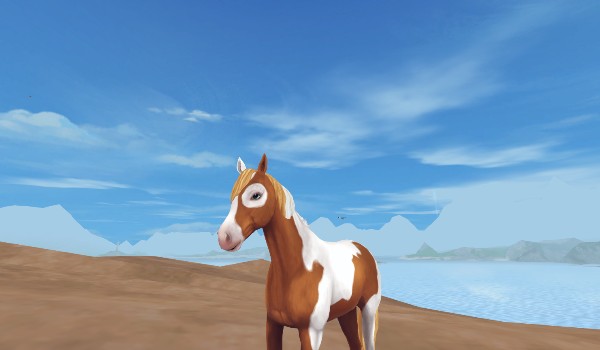 Jesteś noobemm czy normalnym a może PRO hgf