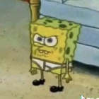 SPONGEB0B