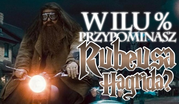W ilu % przypominasz Rubeusa Hagrida?