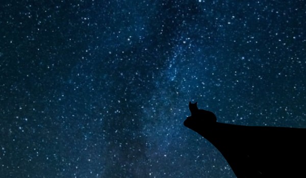 Błędy ciemnej łapy zgromadzenie