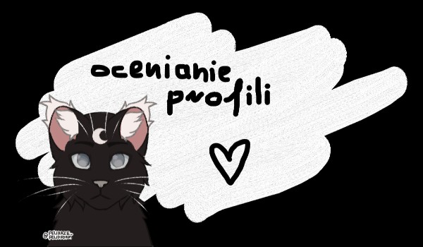 Ocenianie profili #2 – Axolotka