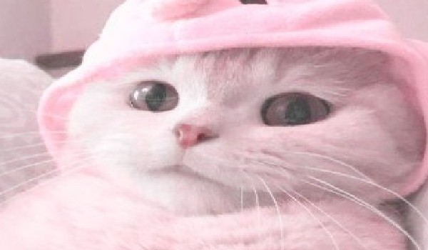 czy znasz te postacię