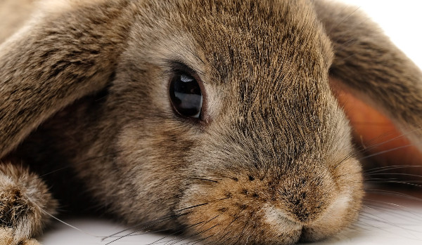 Matematyka klasy 1-3