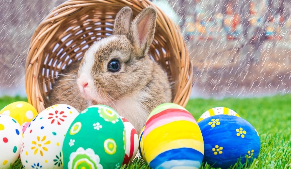 Jak dobrze znasz Wielkanoc?
