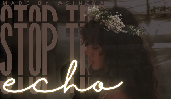 stop the echo |one shot|
